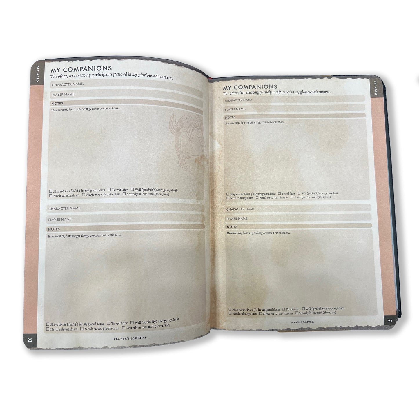 Player’s Journal for DnD | RPG Campaign Notebook